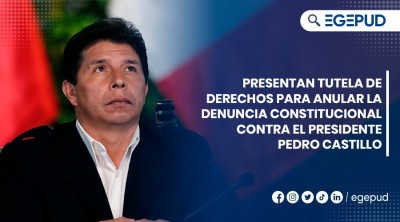 Presentan tutela de derechos para anular la denuncia constitucional contra el presidente Pedro Castillo