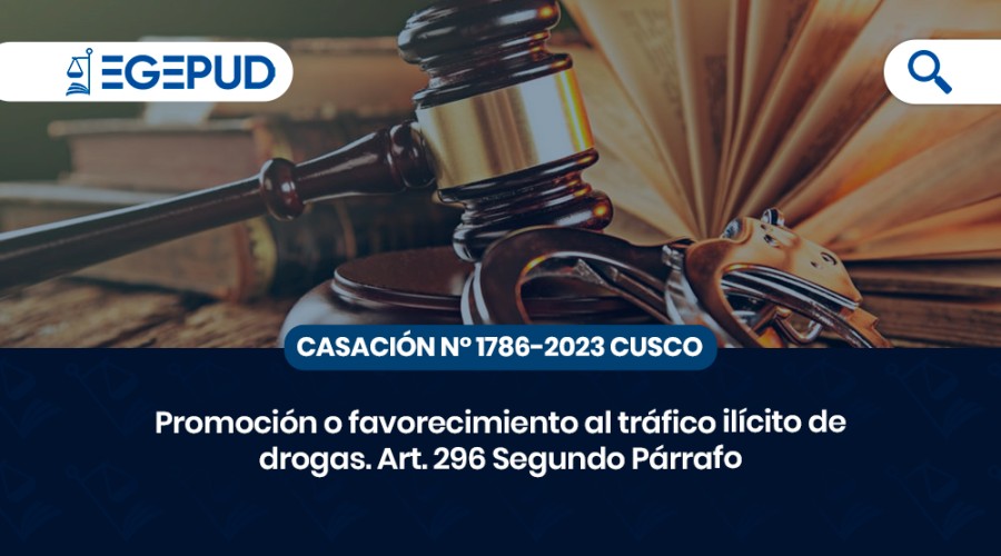Promoción o favorecimiento al tráfico ilícito de drogas. Art. 296 Segundo Párrafo Promoción o favorecimiento al tráfico ilícito de drogas. Art. 296 Segundo Párrafo